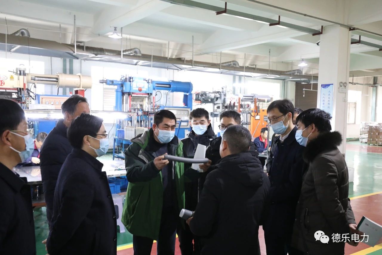 湖北理工學院博士團赴德樂電力展開技術(shù)合作活動